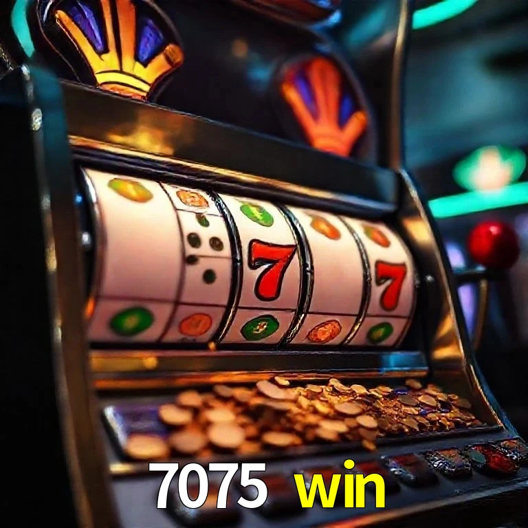 7075 win Segurança