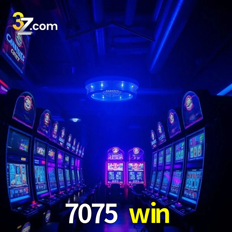 7075 win App Security